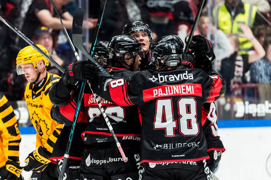 Malmö Redhawks Fredrik Händemark jublar