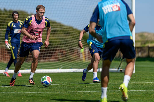 Gustav Lundgren of the Swedish national football team at a