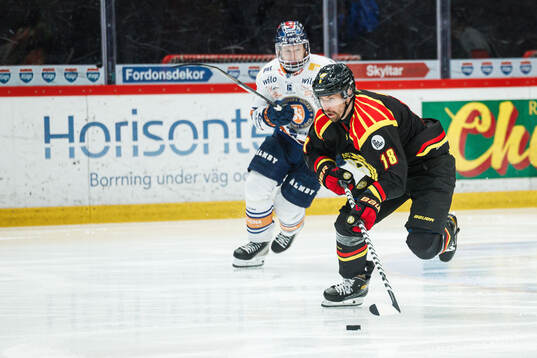 Brynäs Anton Rödin