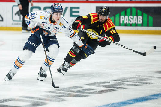 Växjös Leo Sahlin Wallenius och Brynäs Anton Rödin