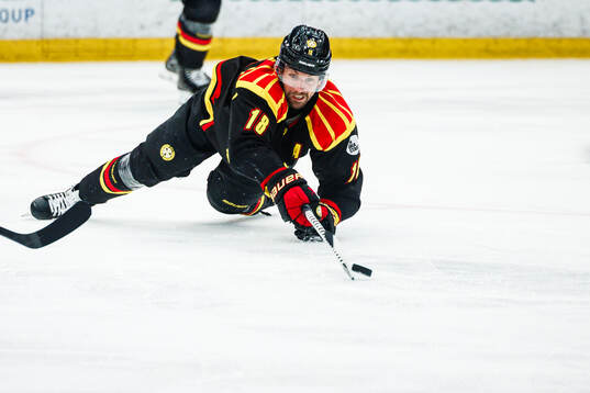 Brynäs Anton Rödin