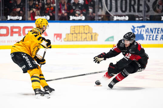 Malmö Redhawks Linus Öberg ochSkellefteås Pontus