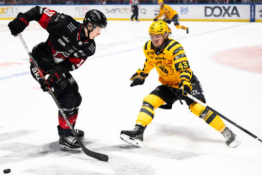 Malmö Redhawks William Von Barnekow och Skellefteås Max