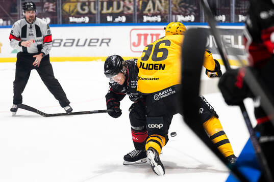 Malmö Redhawks Eemil Viro och Skellefteås Rickard Hugg