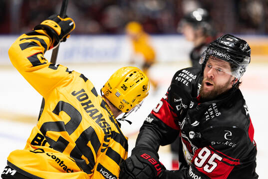 Skellefteås Pontus Johansson och Malmö Redhawks Carl