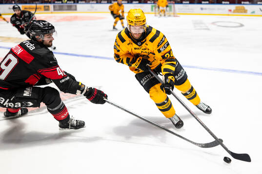 Malmö Redhawks Seth Barton och Skellefteås Oscar Lindberg