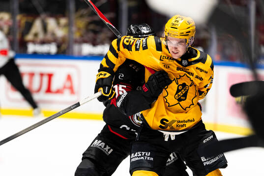 Malmö Redhawks Carl Persson och Skellefteås Pontus