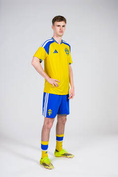 Williot Swedberg of the Swedish national football team