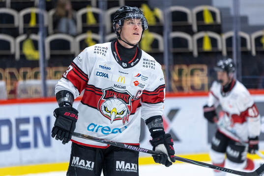 Malmö Redhawks Fredrik Händemark