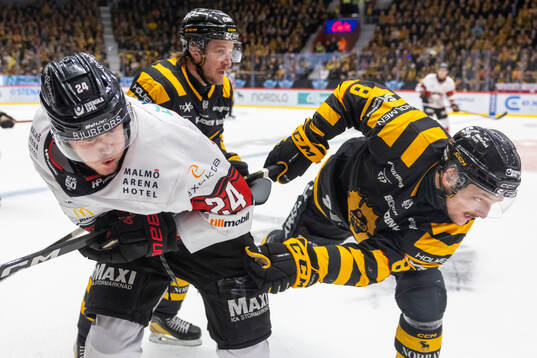 Malmö Redhawks Filip Björkman och Skellefteås Jonathan