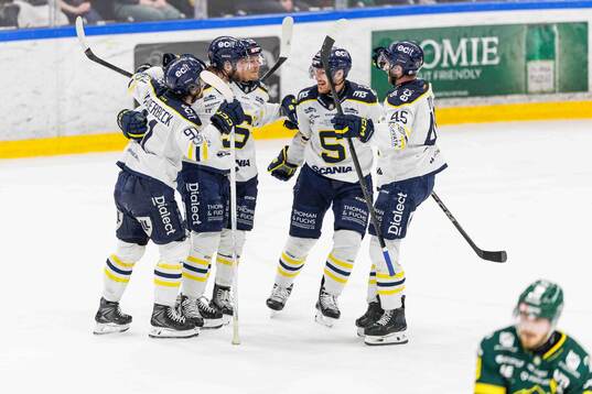 Södertäljes Sebastian Dyk jublar