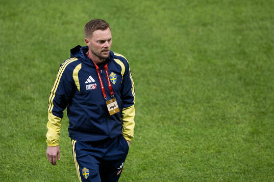 Assistant coach Sebastian Larsson of Sweden