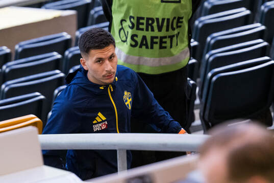 Roony Bardghji of Sweden