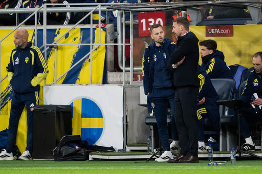 Assistant coach Sebastian Larsson and Head coach Graham