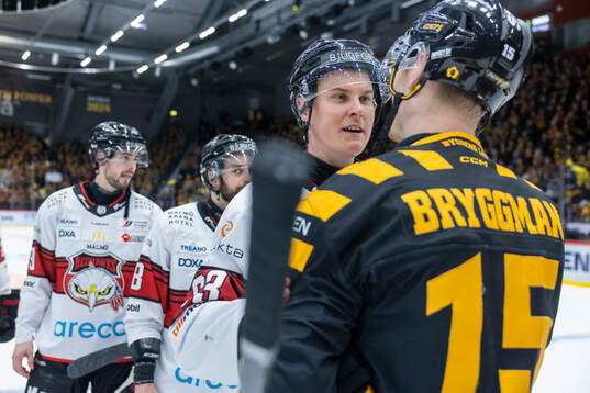 Malmö Redhawks Fredrik Händemark och Skellefteås Lars