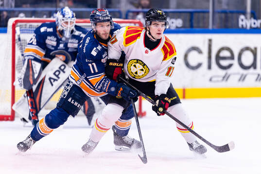 Växjös Brogan Rafferty och Brynäs Michal Svrcek