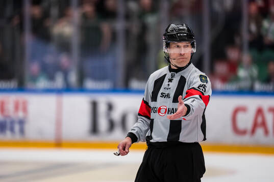 Domare Tobias Björk