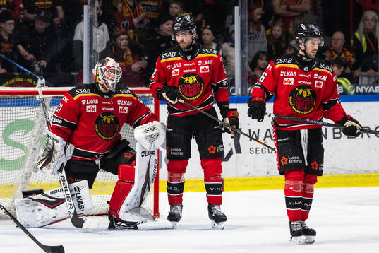 Luleås målvakt Matteus Ward, Oscar Engsund och Mathias