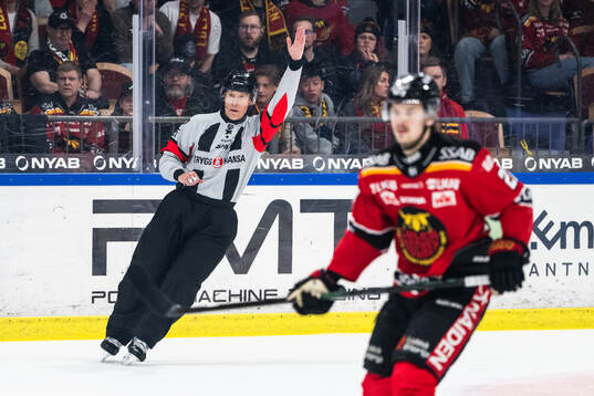 Domare Tobias Björk