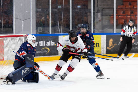 Växjös målvakt Ruben Johansson och Malmös Tobias Lacnak