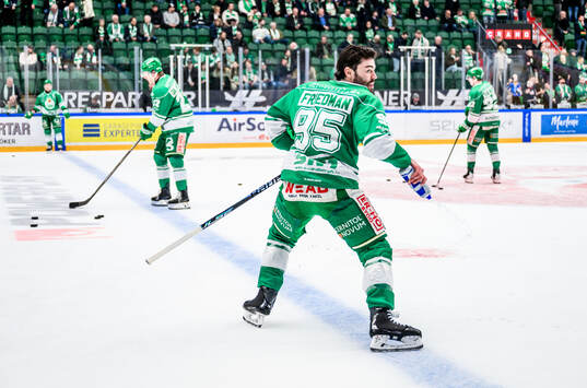 Rögles Mark Friedman