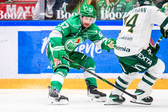 Rögles Leon Bristedt