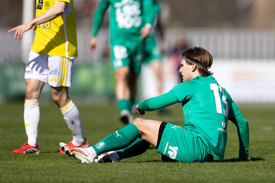 Ljungskiles William Nilsson