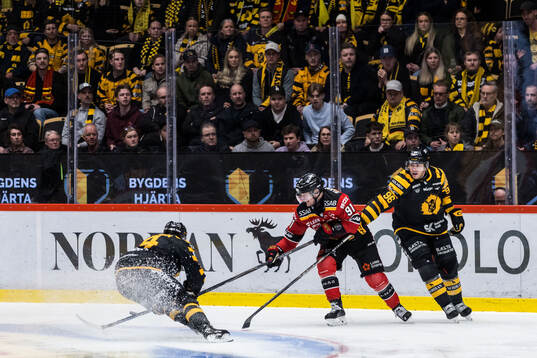 Luleås Brian O'Neill och Skellefteås Rickard Hugg