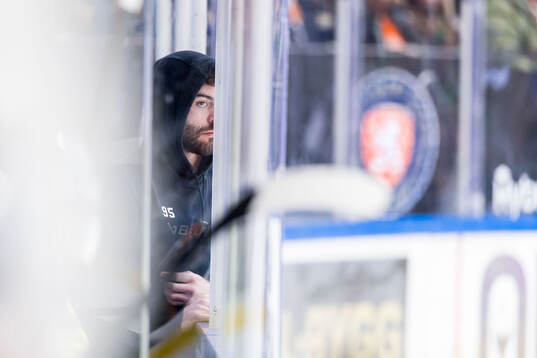 Rögles Mark Friedman