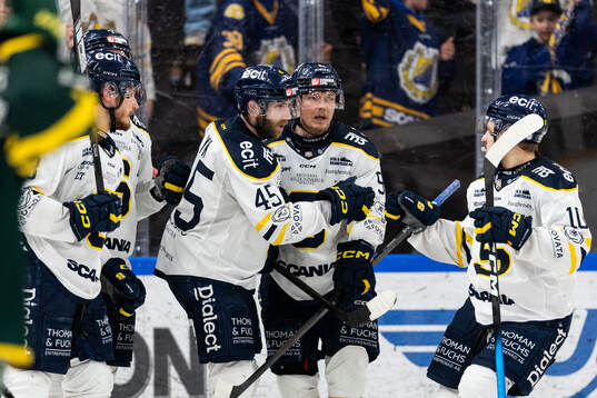 Södertäljes Sebastian Dyk jublar