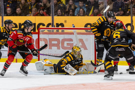 Skellefteås målvakt Linus Söderström
