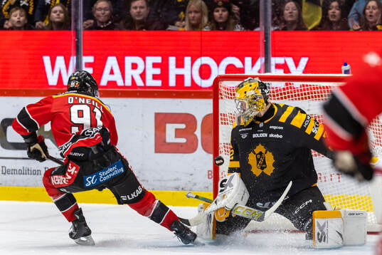 Luleås Brian O'Neill och Skellefteås målvakt Linus