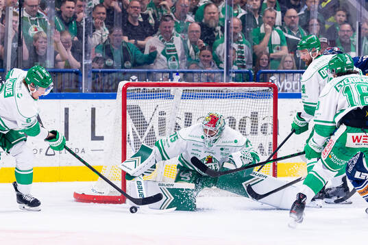 Rögles målvakt Arvid Holm