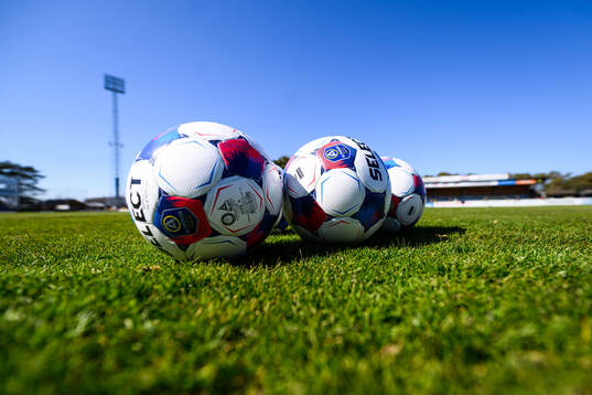 Fotbollar på gräsmattan