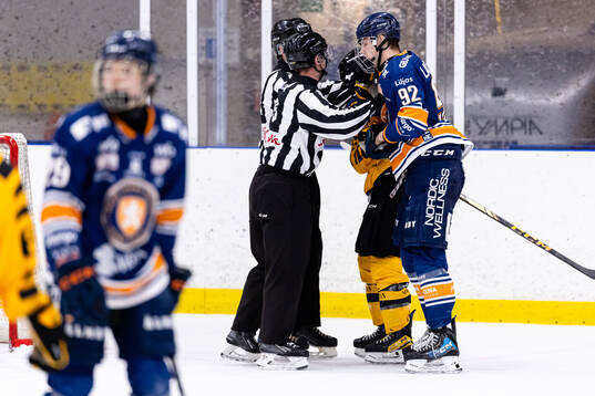 Domarna delar på två spelare