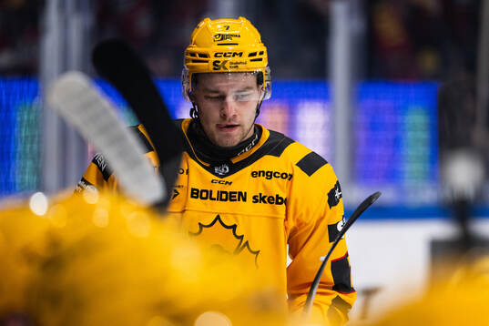 Skellefteås Frans Haara