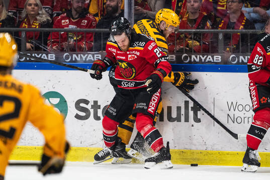 Luleås Brendan Shinnimin och Skellefteås Jonathan