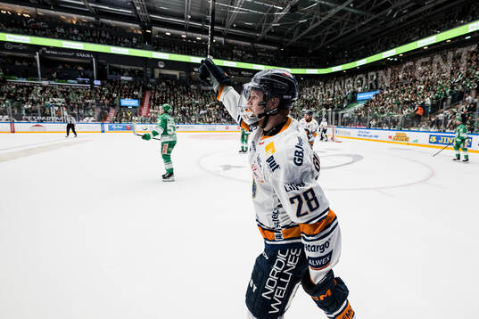 Växjös Hugo Gustafsson jublar