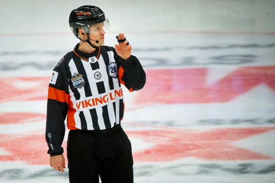 Domare Stefan Leijonklo