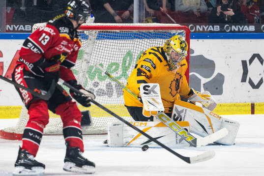 Skellefteås målvakt Linus Söderström