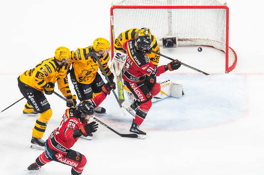 Luleås Brendan Shinnimin jublar