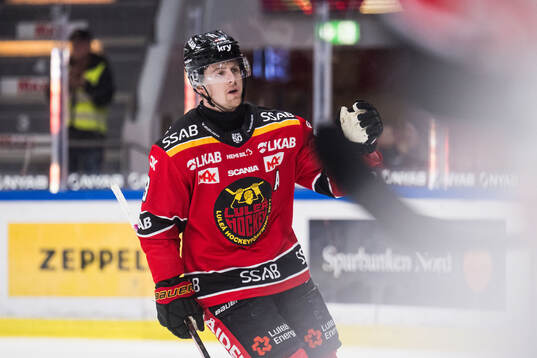 Luleås Jesper Sellgren jublar