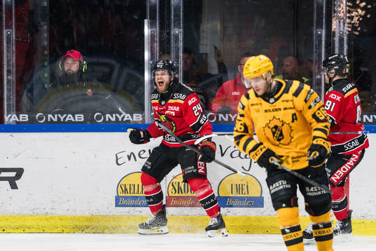 Luleås Brendan Shinnimin jublar