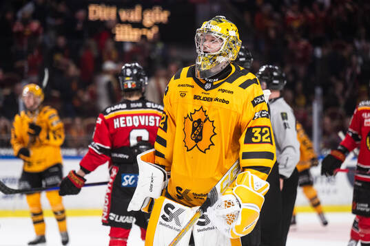 Skellefteås målvakt Linus Söderström