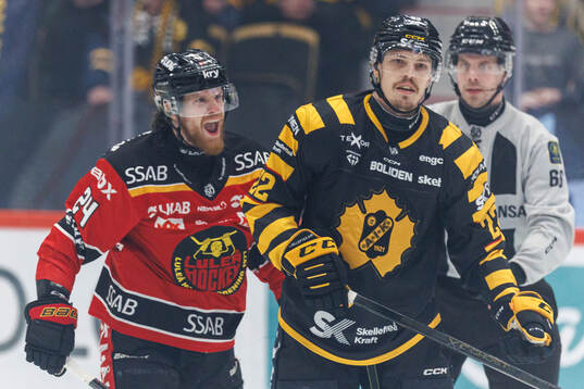 Luleås Brendan Shinnimin och Skellefteås Jonathan Johnson