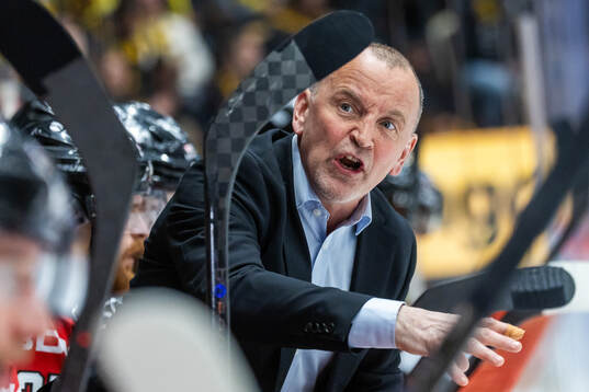 Luleås tränare Thomas Berglund