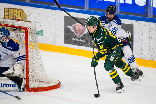 Björklövens Liam Dower Nilsson