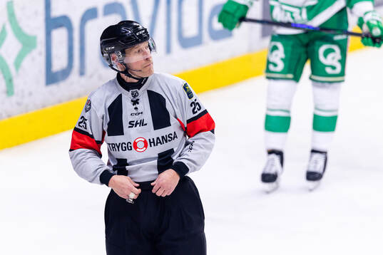 domare Tobias Björk