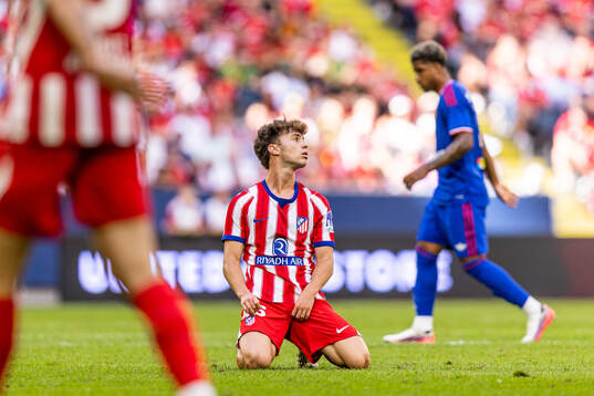 Castillo of Atletico de Madrid