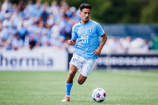 Malmö FFs Adrian Skogmar